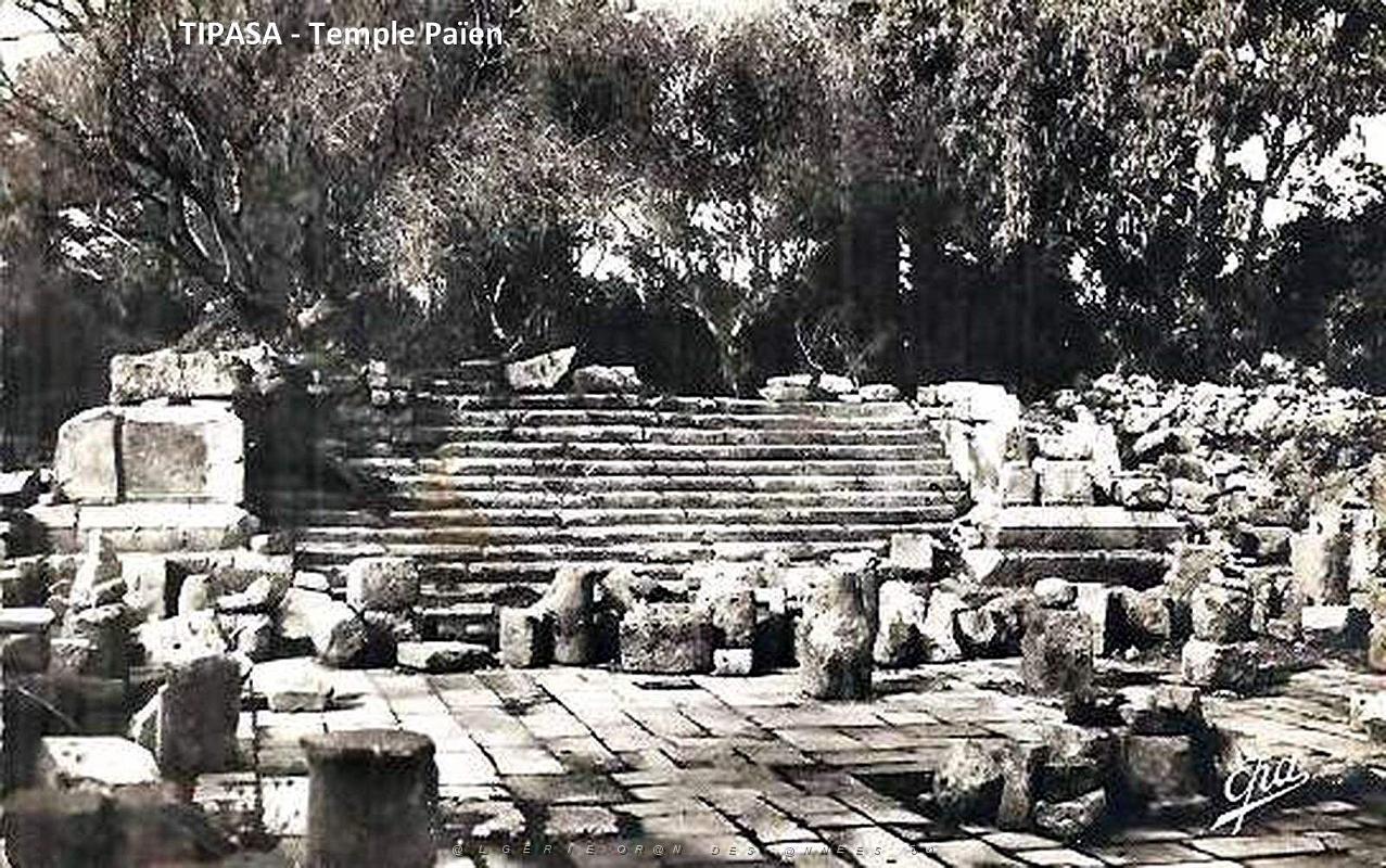 Tipasa - Ruines romaines 53.jpg